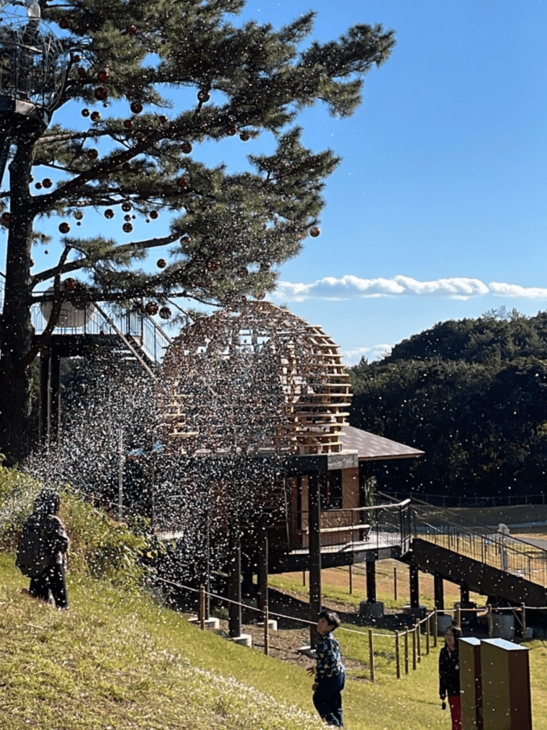 ☆志摩に雪が降る !? ☆